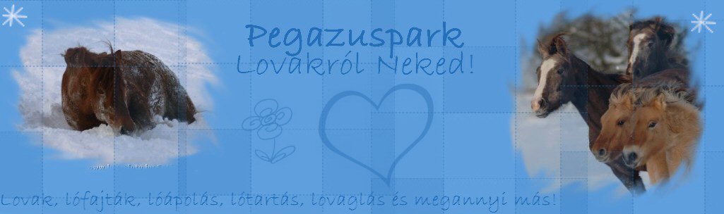 Pegazuspark-Lovakrl neked!